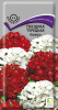 Гвоздика Турецкая Аллегро ПОИСК 0,3 гр (Мн)®